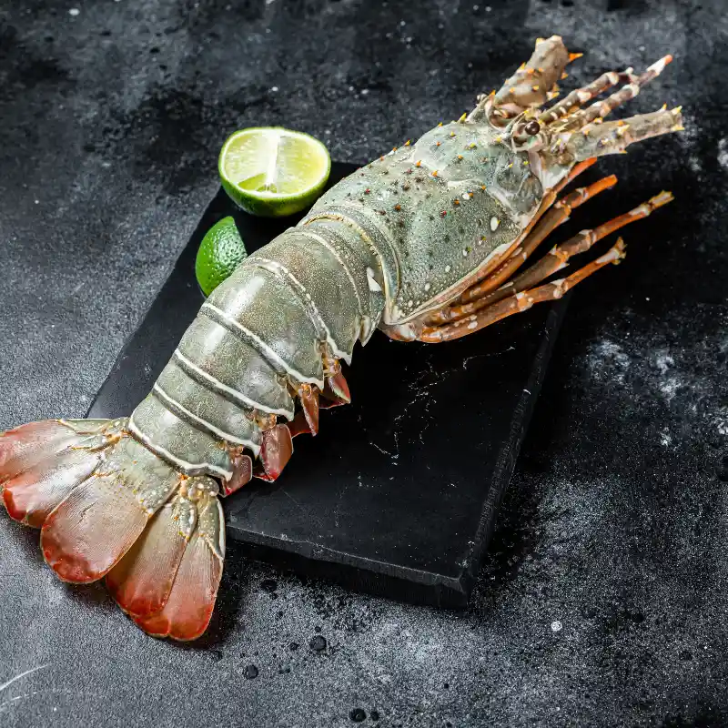 Frozen Whole Lobster (Large) by Meatigo Order Lobster Online